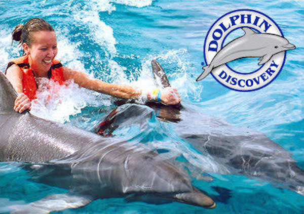 delfines-5