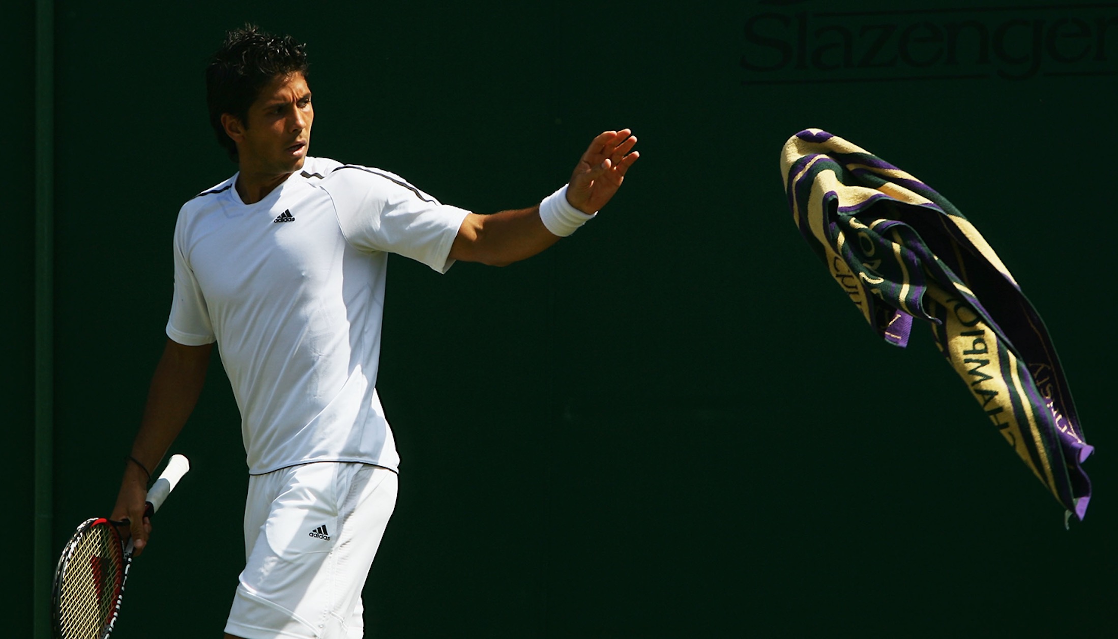 Fernando Verdasco.