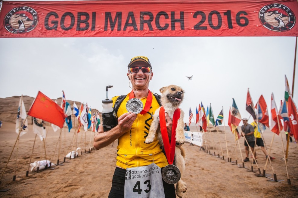 gobi-maraton-perrita-3