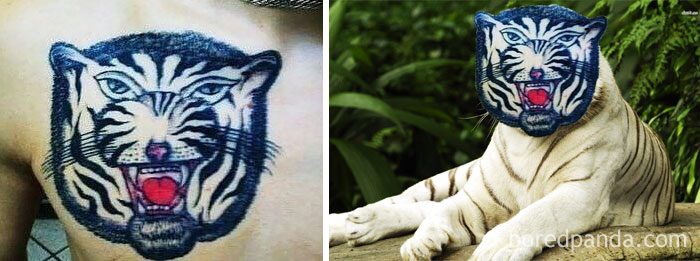 tatuajes-feos-tigre