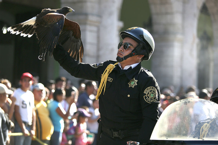 desfile-militar-16-septiembre-aguila