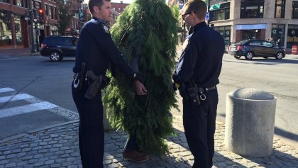 Hombre árbol de Portland, Maine