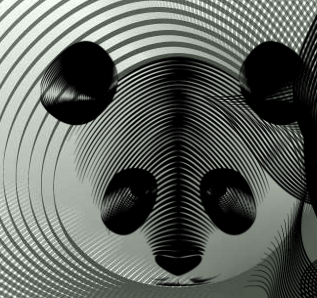 panda-bear