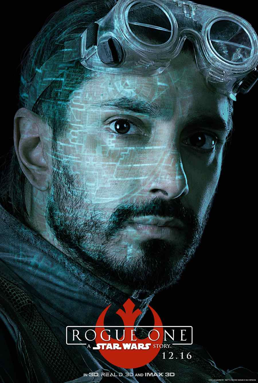 Póster de Bodhi Rook