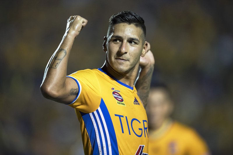 Sosa con tigres