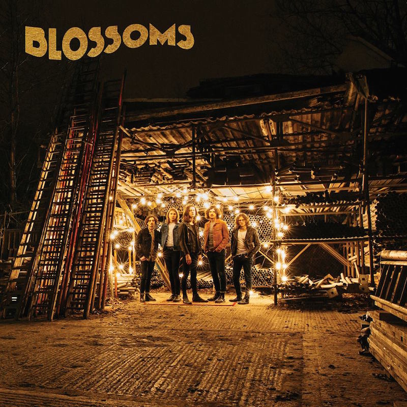 Blossoms- Blossoms