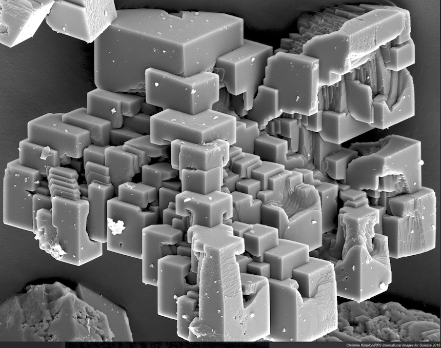 mejores-imagenes-cientificas-2016-2