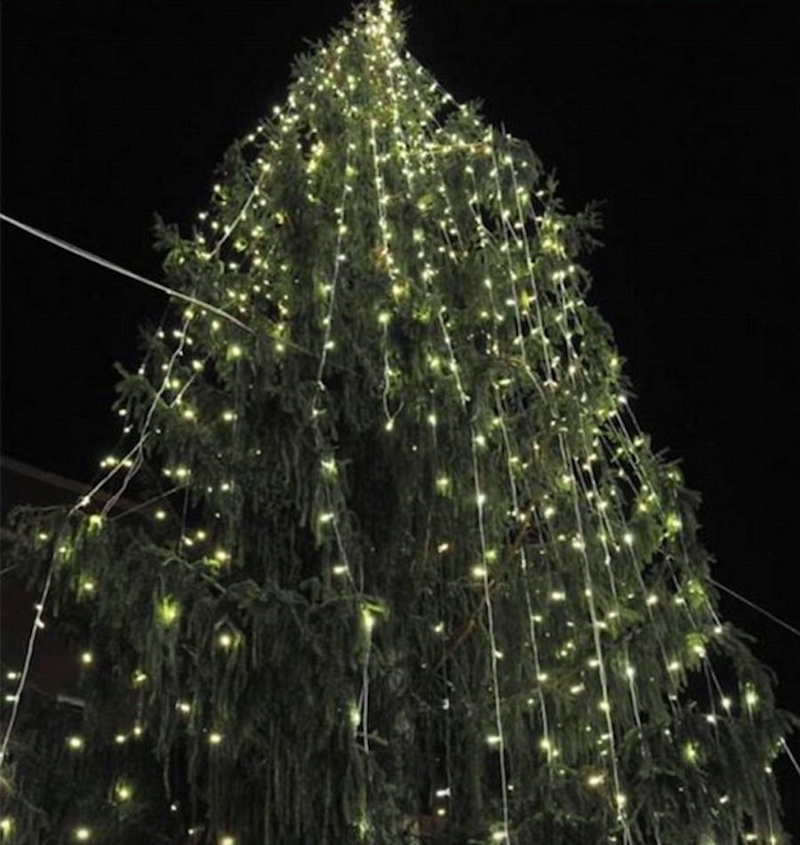 El horrible árbol navideño de Roma