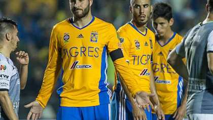 Tigres enojados esperando