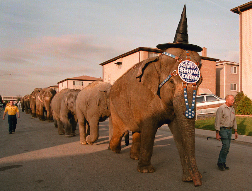 Ringling Bros. Clausura