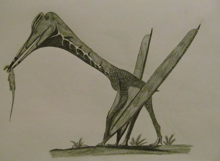 El poderoso Hatzegopteryx