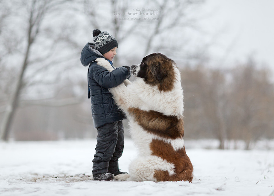 Perrito amistoso