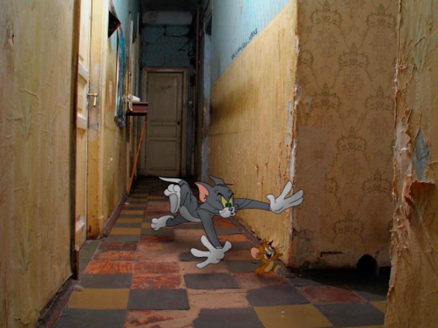 Tom y Jerry en el mundo real