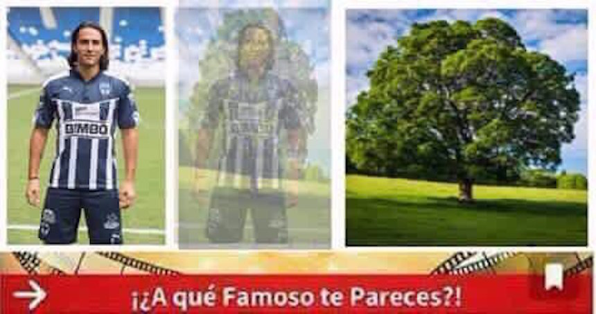 memes a que famoso te pareces