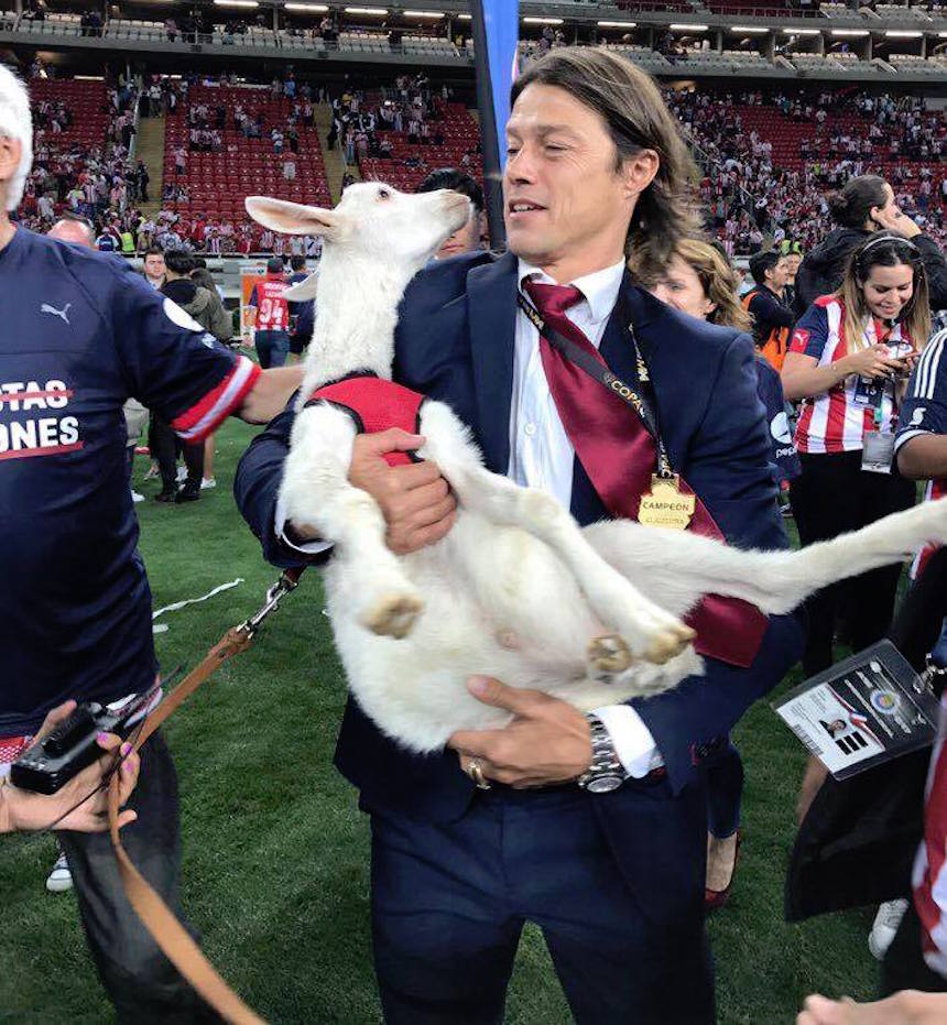 Matías Almeyda con una chiva