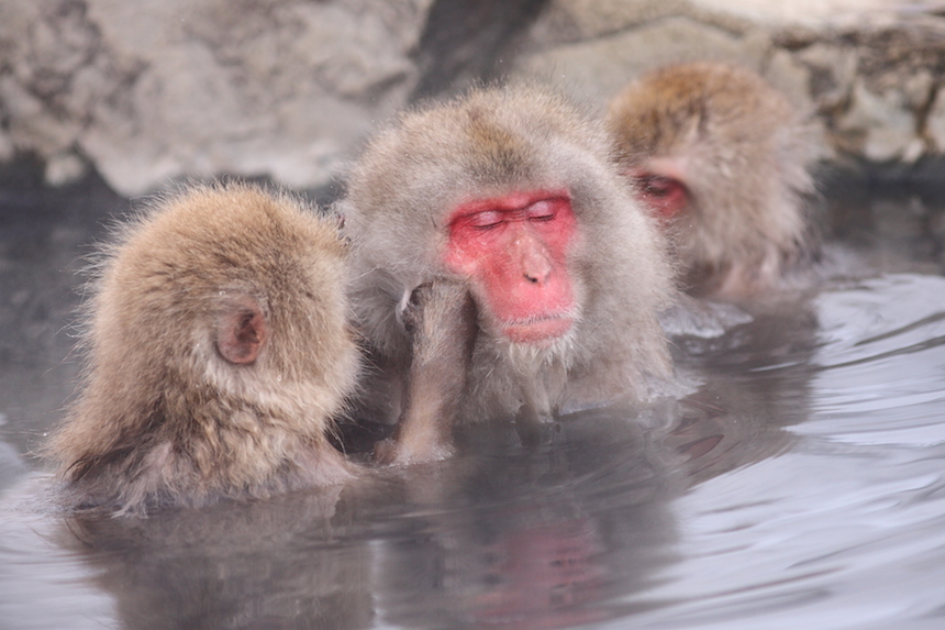 Onsen