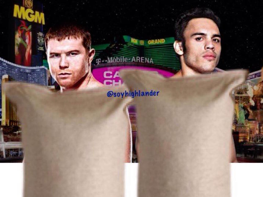 Meme Canelo vs Chávez Jr.