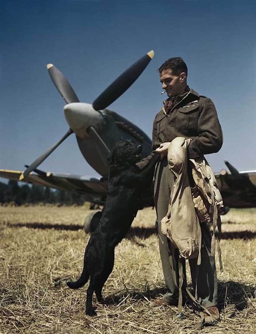 Segunda Guerra Mundial - Un piloto y su perro