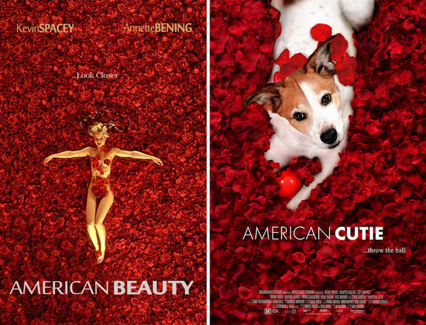 Lucy - American Beauty