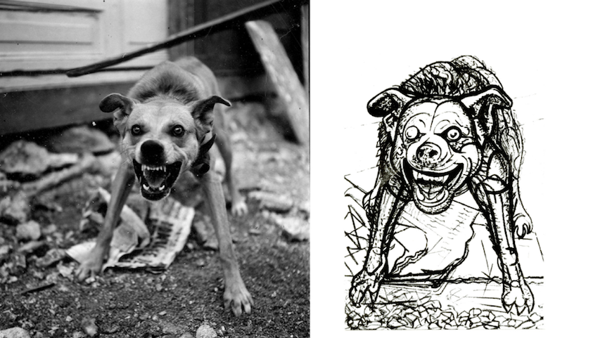 Foto y dibujo de perro de Siqueiros y Matiz