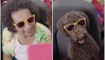 El polémico comercial en el que Capufe compara a un indigente con un perro