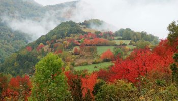 otoño en Huesca