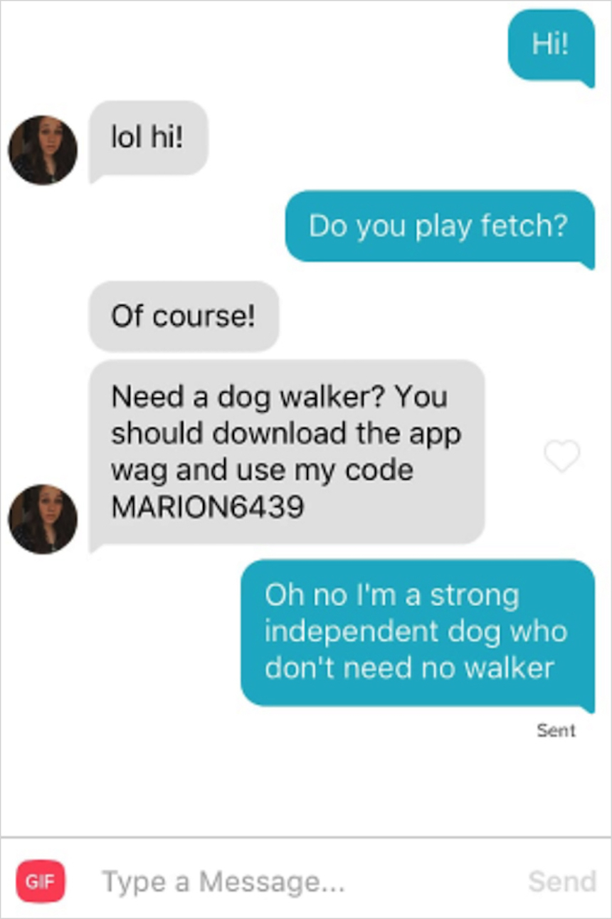 Phil, el perrito de Tinder - Caminatas