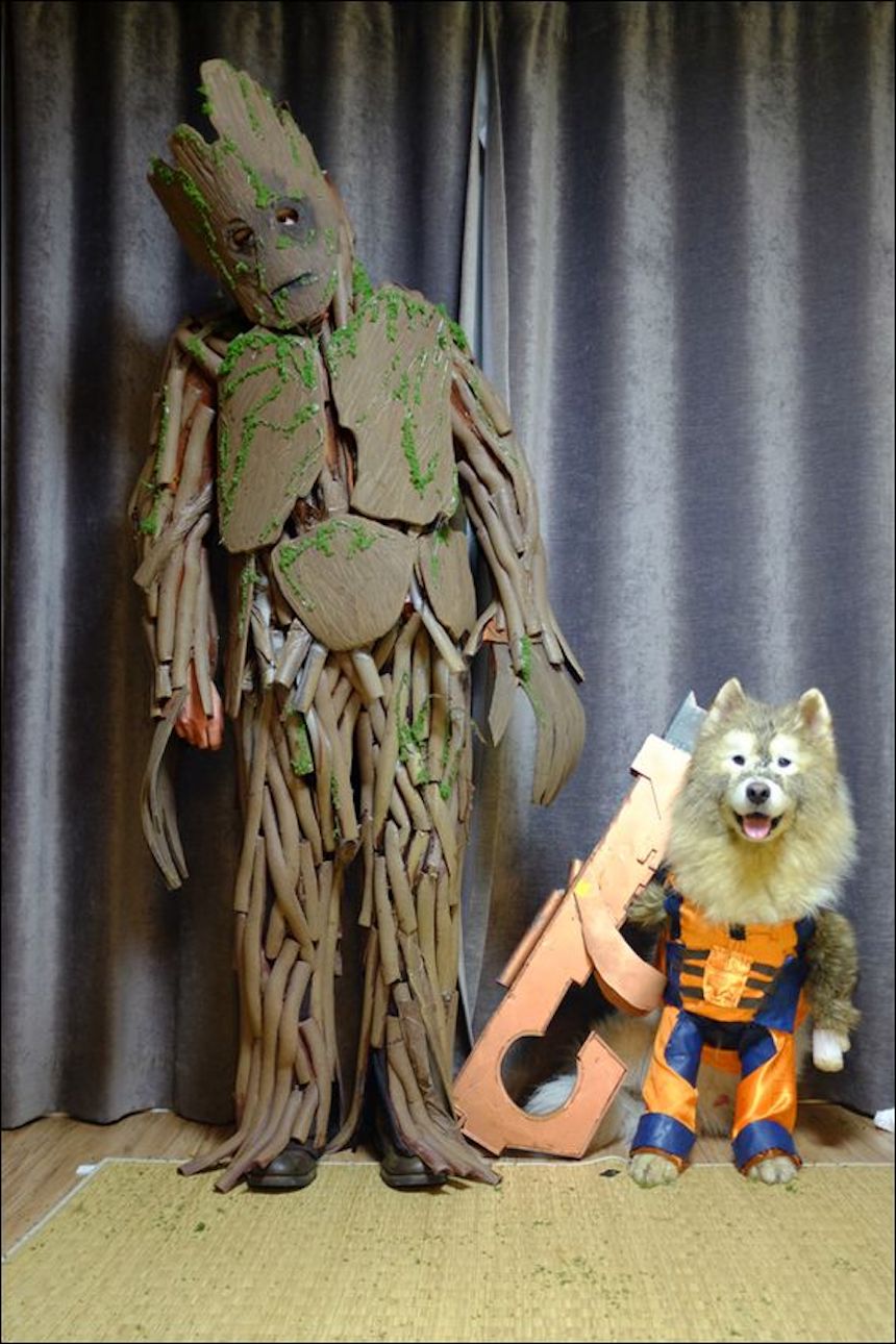 Disfraces para parejas de Halloween - Rocket y Groot