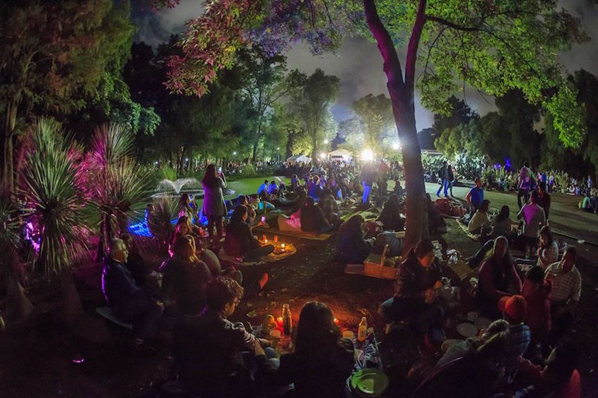 Picnic Nocturno