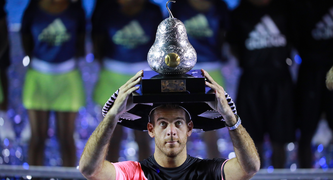 Juan Martín del Potro se llevó el Abierto Mexicano de Tenis