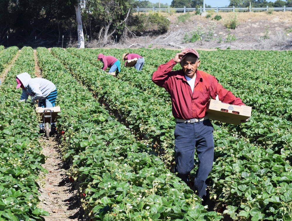 Dreamers mexican immigrants 