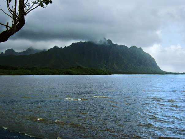 Awesome! Este es el lugar donde rodaron las películas de ‘Jurassic’ y 'Lost'