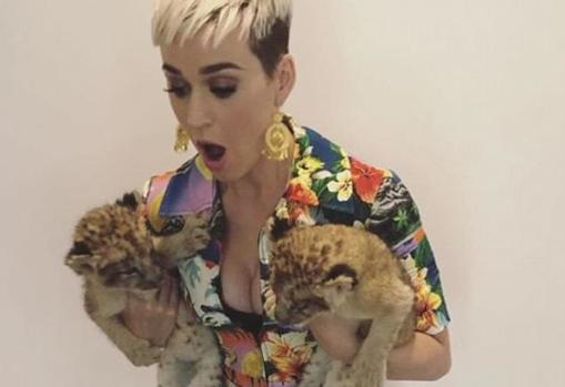 ¿Por qué acusaron a Katy Perry de abuso animal en su reciente visita a México?