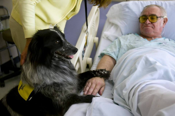 Incluyen a perrita terapista en anuario escolar