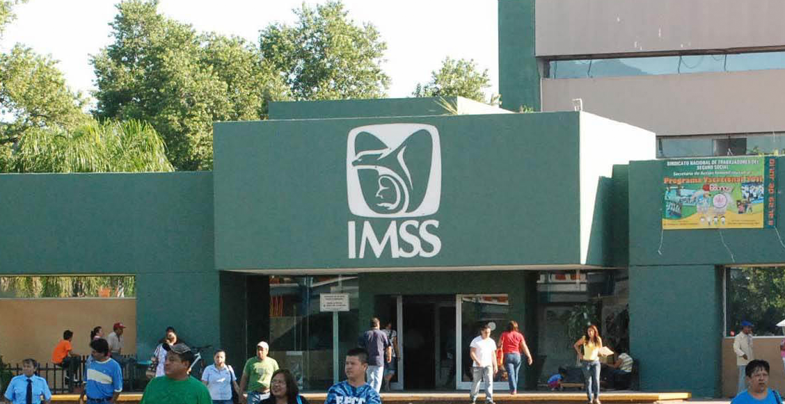 IMSS licitación simulación empresas