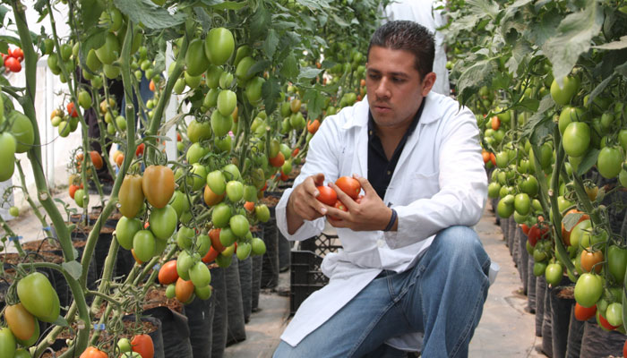 Habemus licenciatura en Ingeniería Ambiental en la UNAM 👏🏻