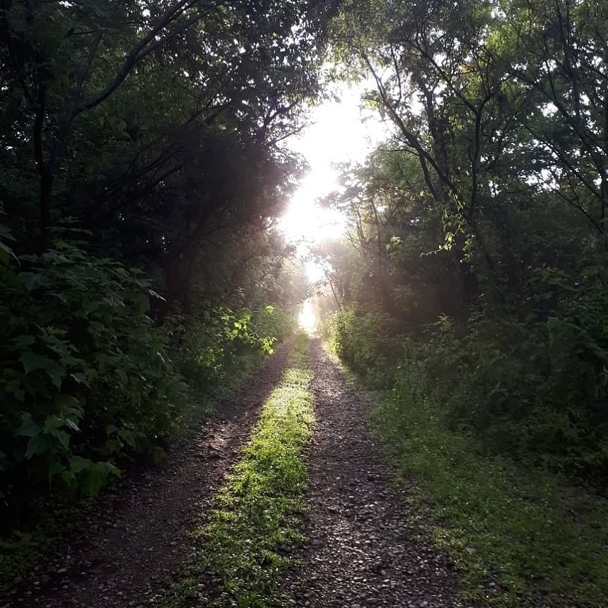 Fotos de lectores de Sopitas - Bosque