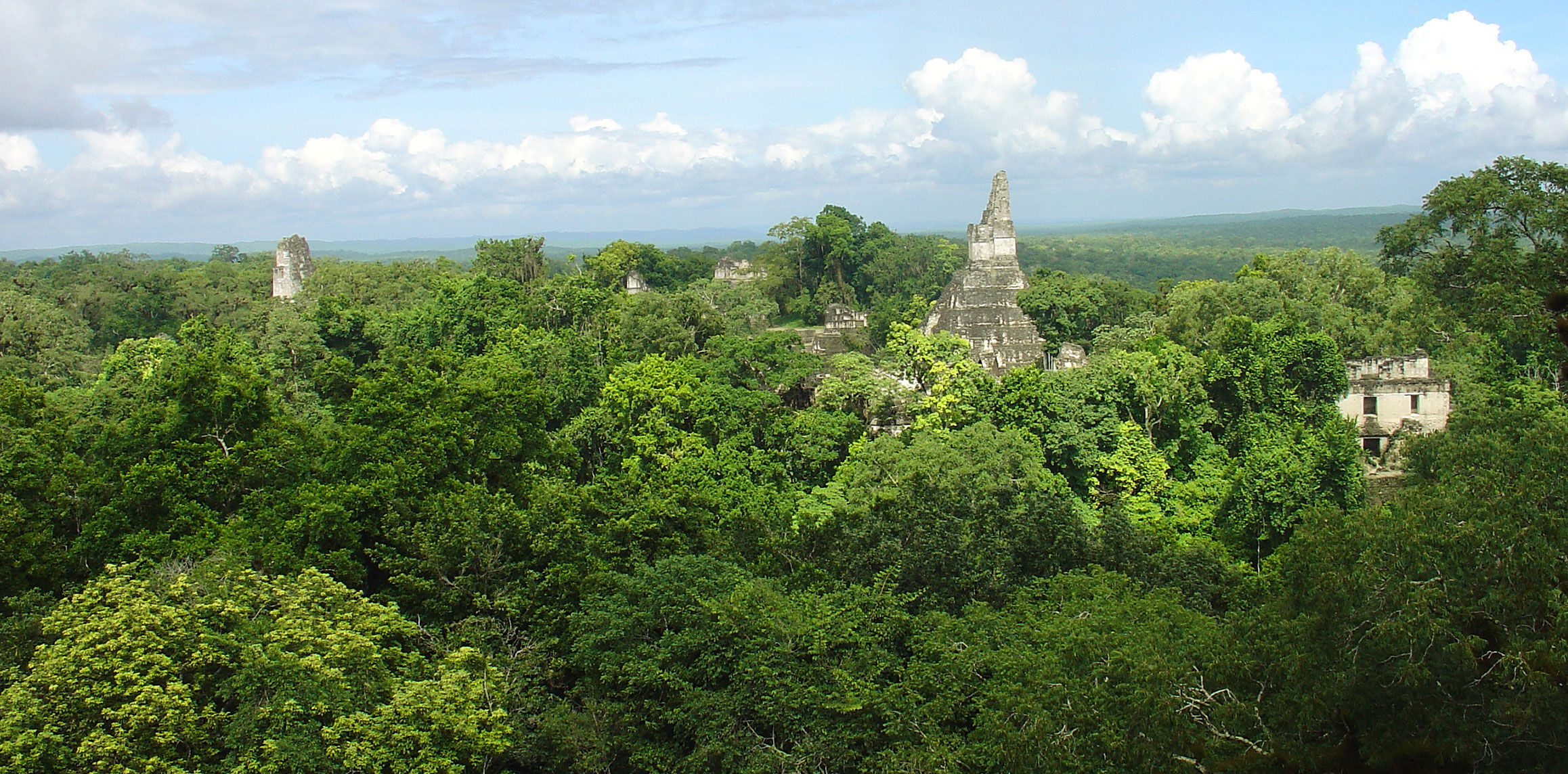 Todo lo que necesitas saber sobre el proyecto del Tren Maya