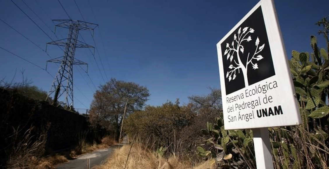 Hallan cadáver en las inmediaciones de la Reserva Ecológica del Pedregal UNAM