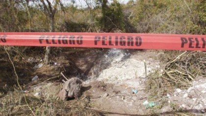 Encuentran 19 cuerpos en fosa clandestina de Lagos de Moreno, Jalisco