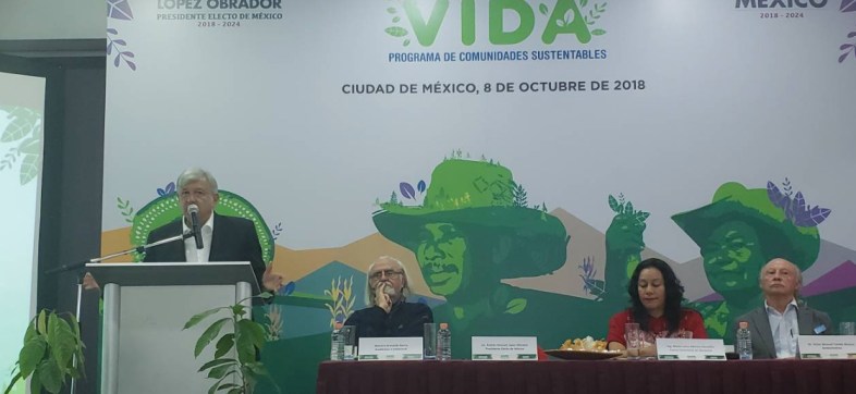 AMLO planea reforestar 1 millón de hectáreas en 19 estados