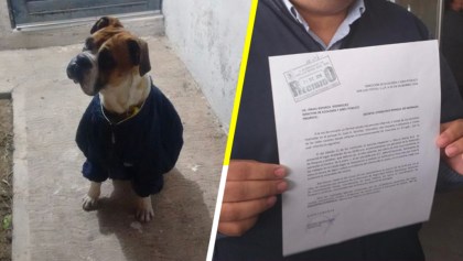 #JusticiaParaMiguel: Acusan que mataron a un perrito con petardos en el hocico