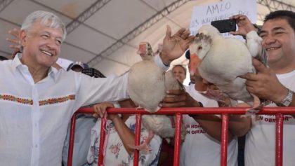 ¿Se habrán cansado? Regalan gansos a López Obrador en Campeche