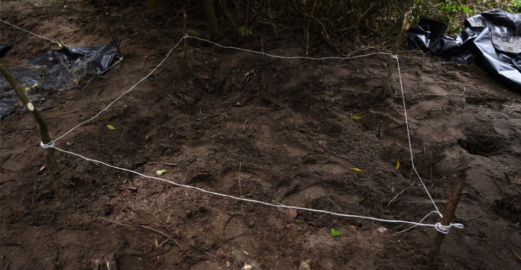 Encuentran en Tecomán, Colima, 19 cuerpos en 11 fosas clandestinas