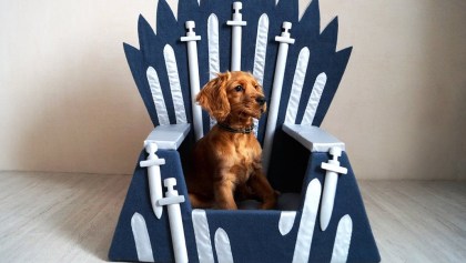 Para tu perrhijo: ¡Mira las camas de Game of Thrones para mascotas!