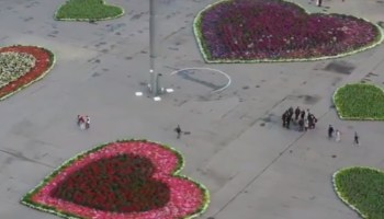 ¿Y la austeridad, apá? CDMX gasta casi dos millones en corazones florales del Zócalo