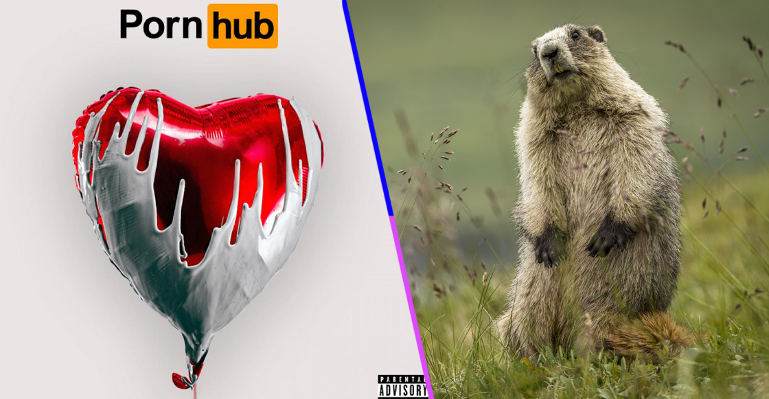 Liberen a sus marmotas al ritmo del disco de San Valentín de Pornhub