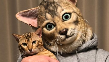 Máscaras que lucen idénticas al rostro de sus mascotas