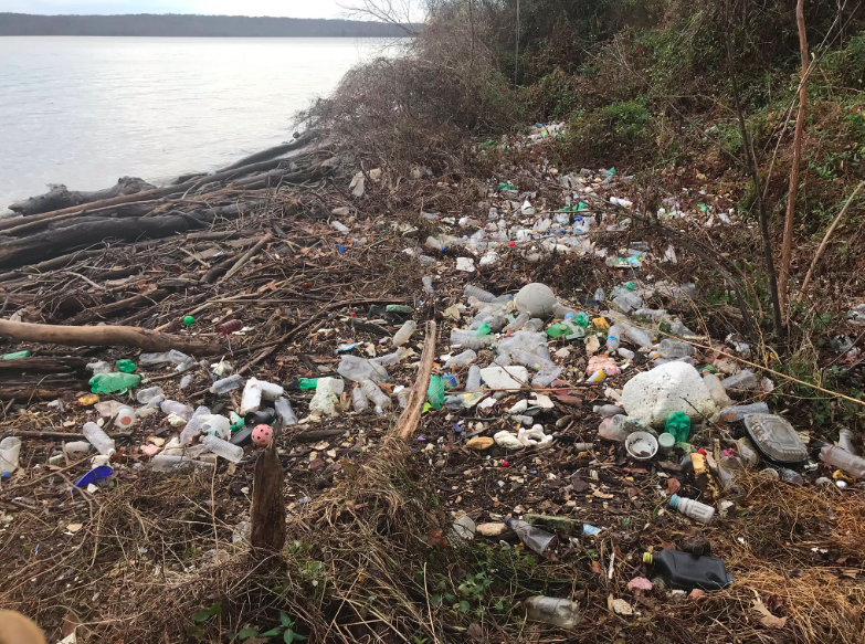 Retos que SÍ importan: La gente está recogiendo su basura gracias al 'Trashtag Challenge'