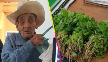 Un viejito intentó pagar su acta de nacimiento con manojos de cilantro porque no tenía dinero